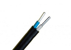 АВВГ 2х10,0 ок(N)-0,66 (Алюр)